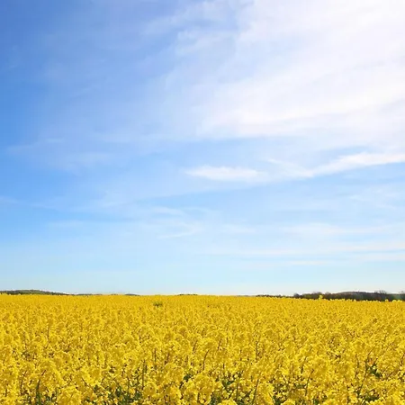 F-1016 Haus Maigloeckchen Doppelzimmer 02 Terrasse, Fruehstueck アパート *