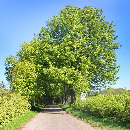 F-1016 Haus Maigloeckchen Doppelzimmer 02 Terrasse, Fruehstueck *