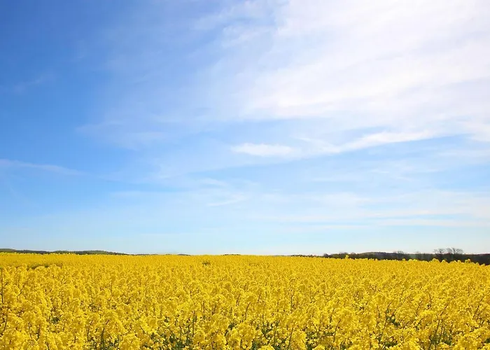 F-1016 Haus Maigloeckchen Doppelzimmer 02 Terrasse, Fruehstueck Lejlighed *