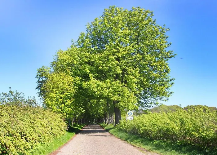 F-1016 Haus Maigloeckchen Doppelzimmer 02 Terrasse, Fruehstueck *